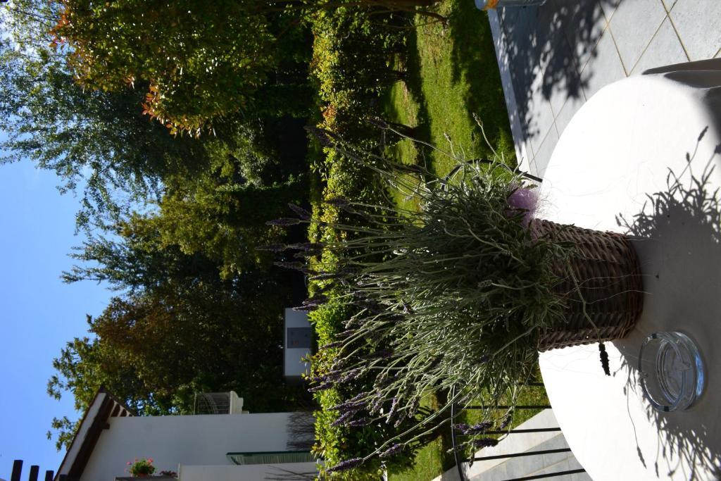 Residence Casa Bianca Marina di Massa Exterior foto